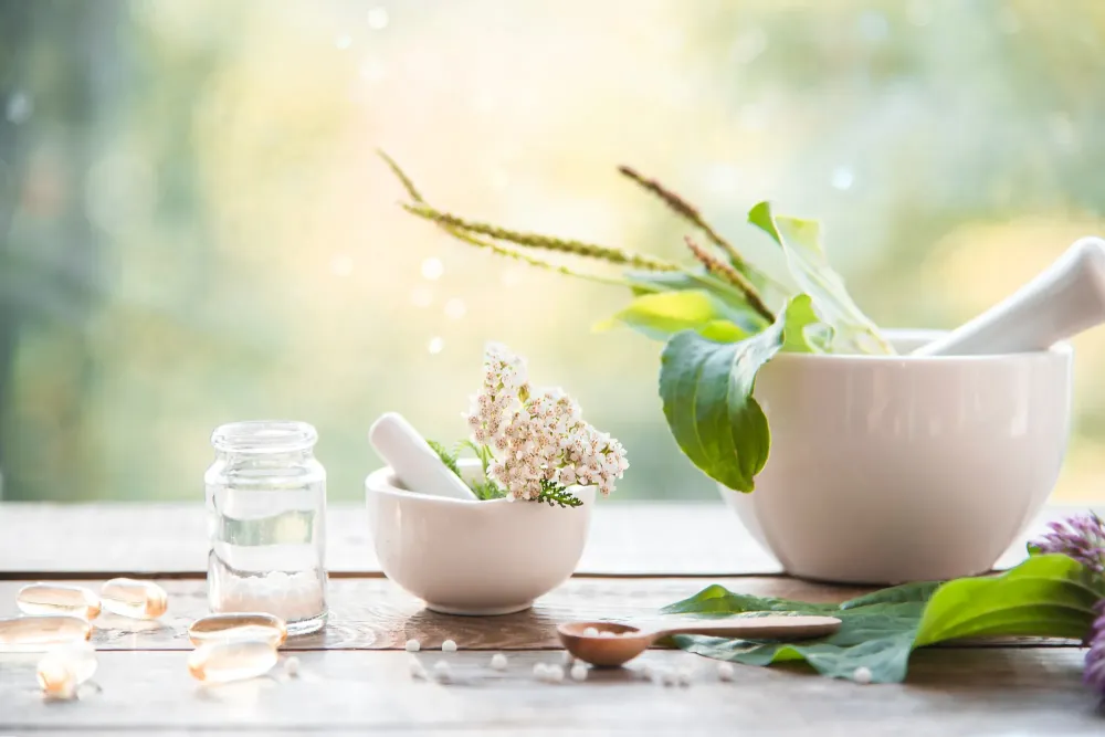 conseils-naturopathe